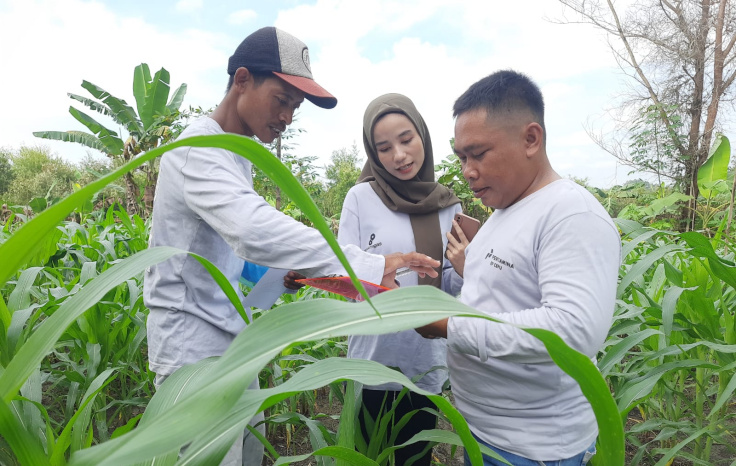 PEPC Kembangkan Sektor Pertanian Lokal Melalui Pelatihan Pertanian&nbsp;Berkelanjutan
