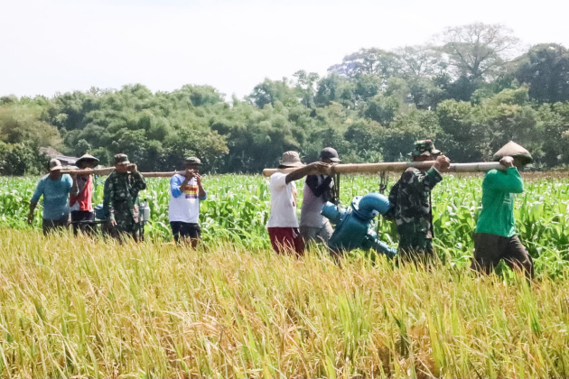 Tentara di Bojonegoro dikerahkan Dampingi Petani Untuk Sukseskan Program&nbsp;Pompanisasi