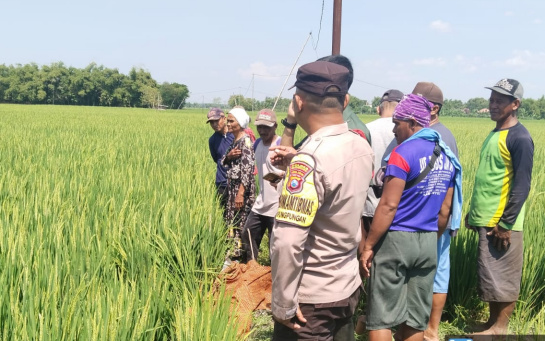 Seorang Petani Meninggal di Sawah Akibat Tersengat Arus Listrik Dari Kabel Sumur&nbsp;Sibel