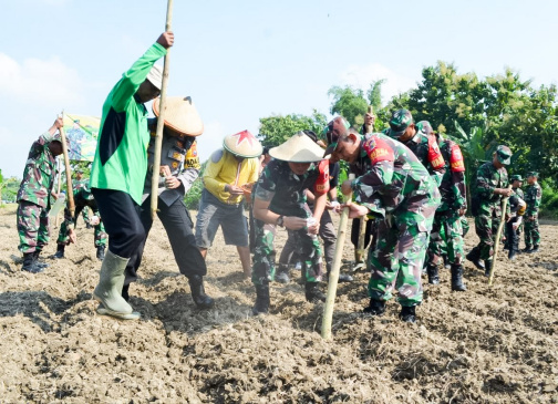 Lahan 60 Hektar Ditanami Jagung Oleh Kodim Bojonegoro, Bentuk Penguatan Ketahanan&nbsp;Pangan
