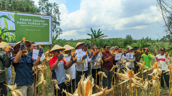 Pertamina EP Cepu Panen Jagung Dengan Perhutani KPH Bojonegoro dan Petani di Area JTB